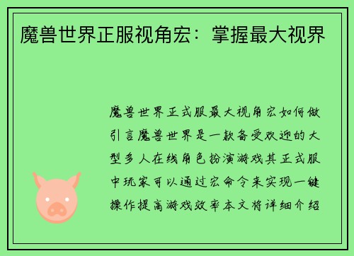 魔兽世界正服视角宏：掌握最大视界