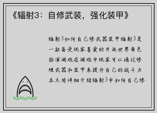 《辐射3：自修武装，强化装甲》
