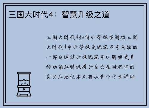 三国大时代4：智慧升级之道